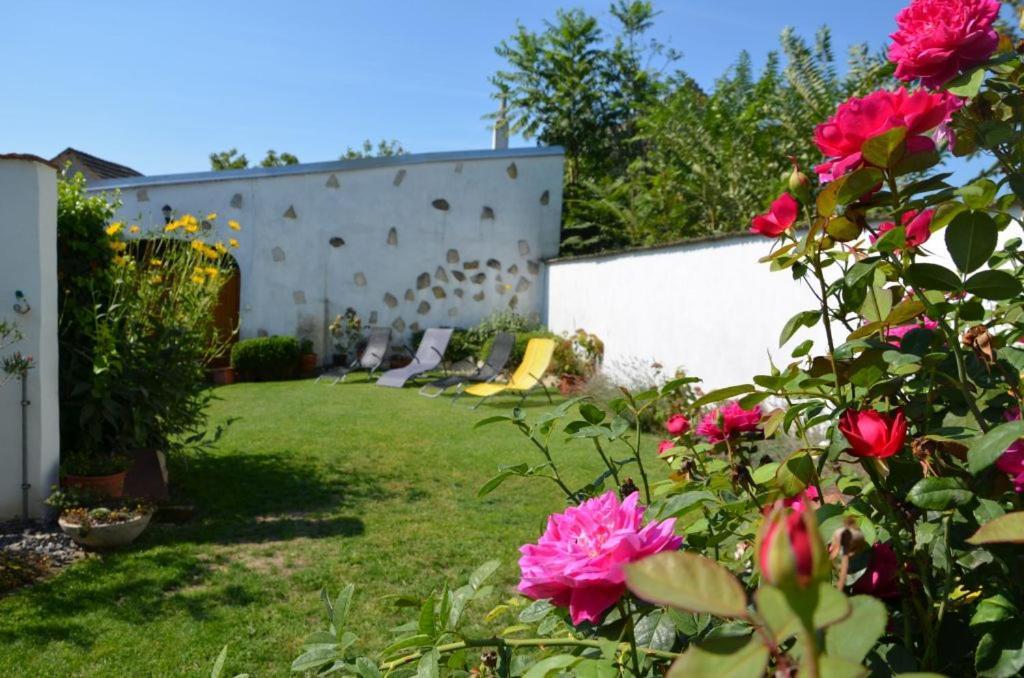 Gästezimmer Klinger-Tongisch Apetlon Exterior foto