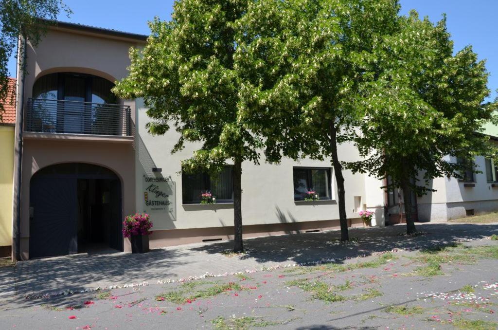 Gästezimmer Klinger-Tongisch Apetlon Exterior foto